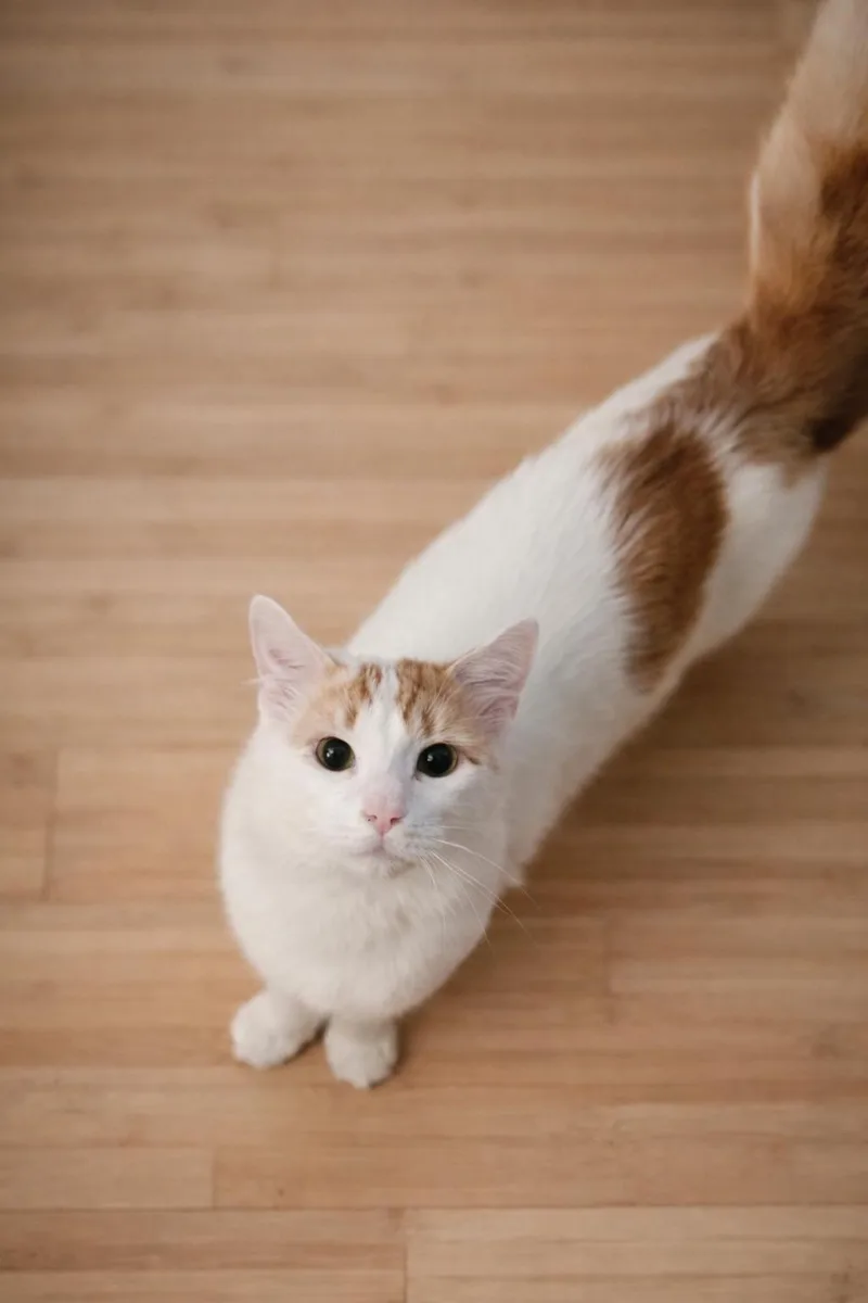 Gideon + Colin thumbnail 2