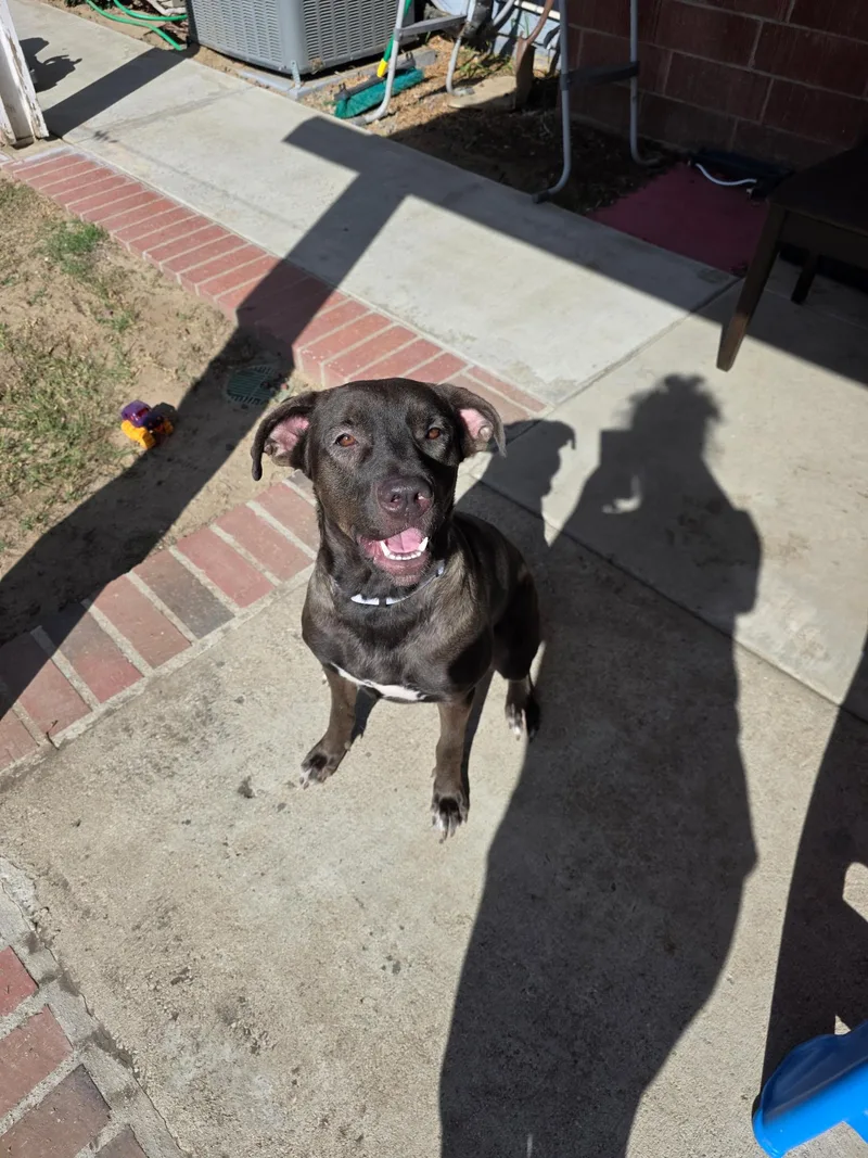 Luna