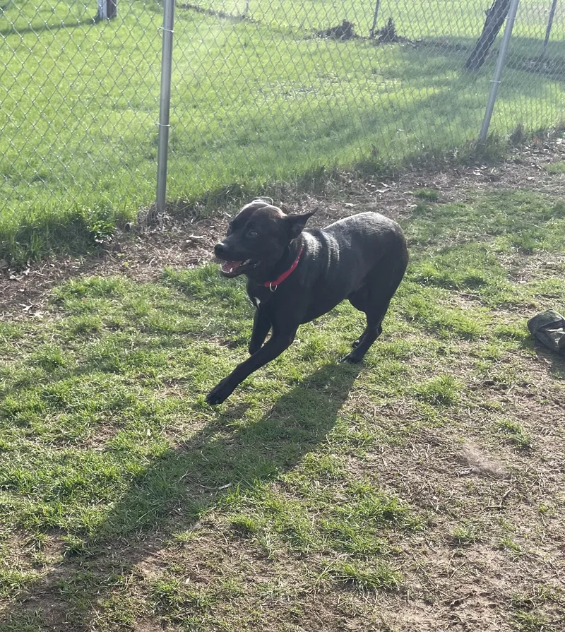 Theodore thumbnail 2