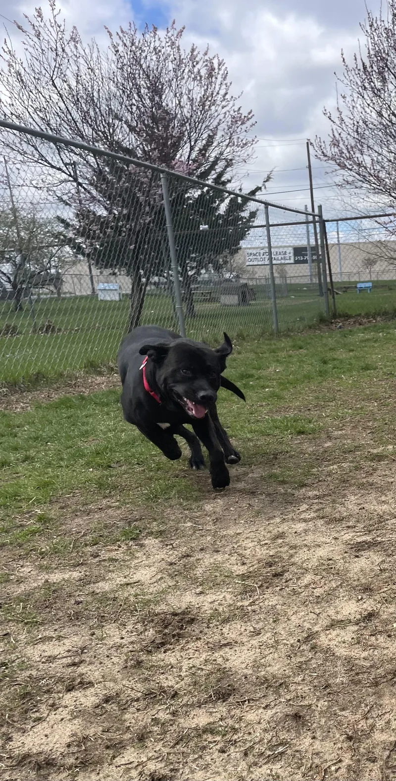 Theodore thumbnail 4