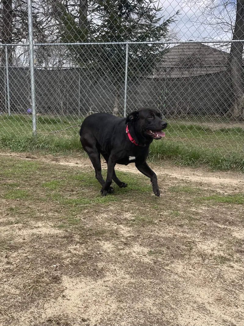 Theodore thumbnail 6