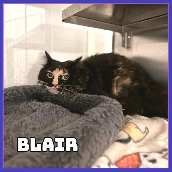 Blair
