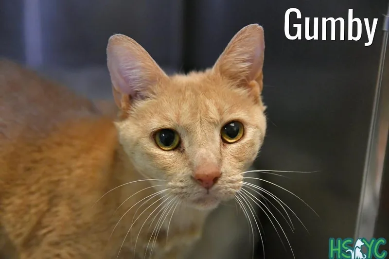 Gumby