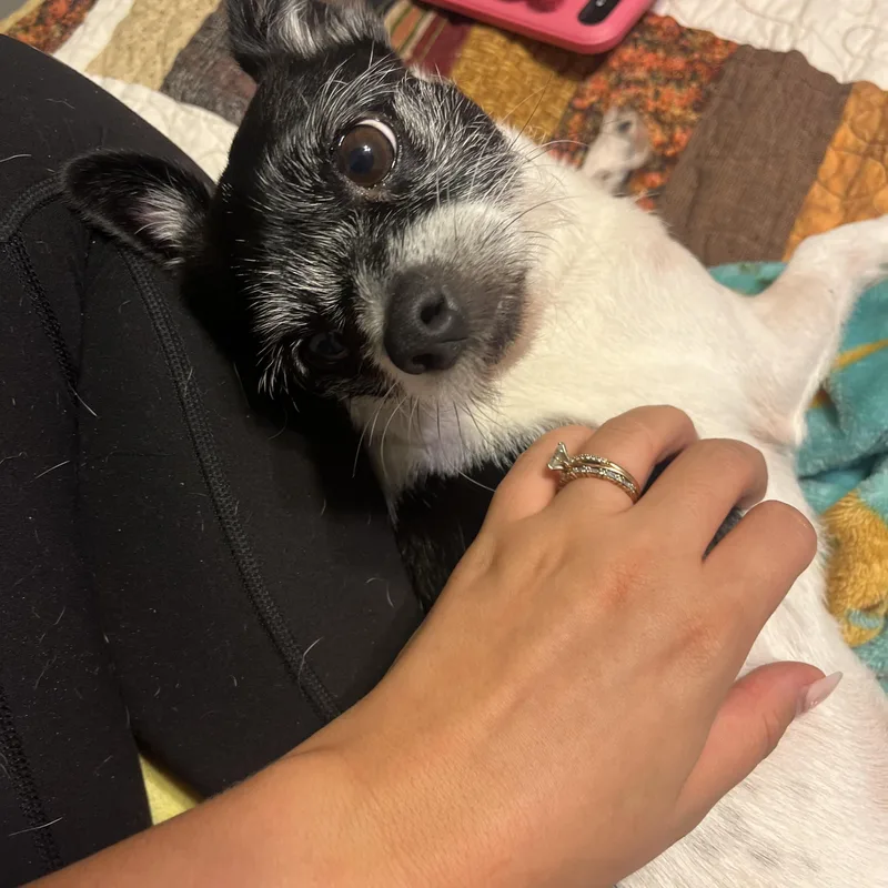 Tater Tot thumbnail 3