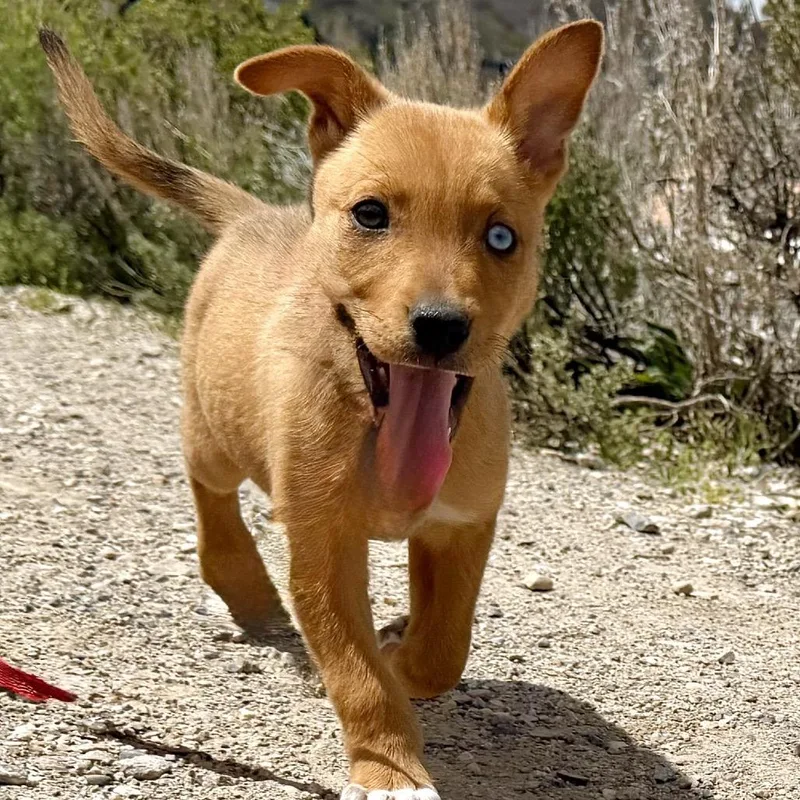 Emma thumbnail 6