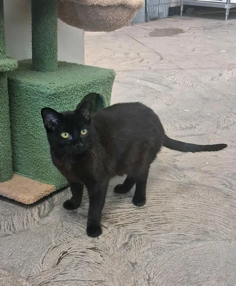 Willoughby thumbnail 2