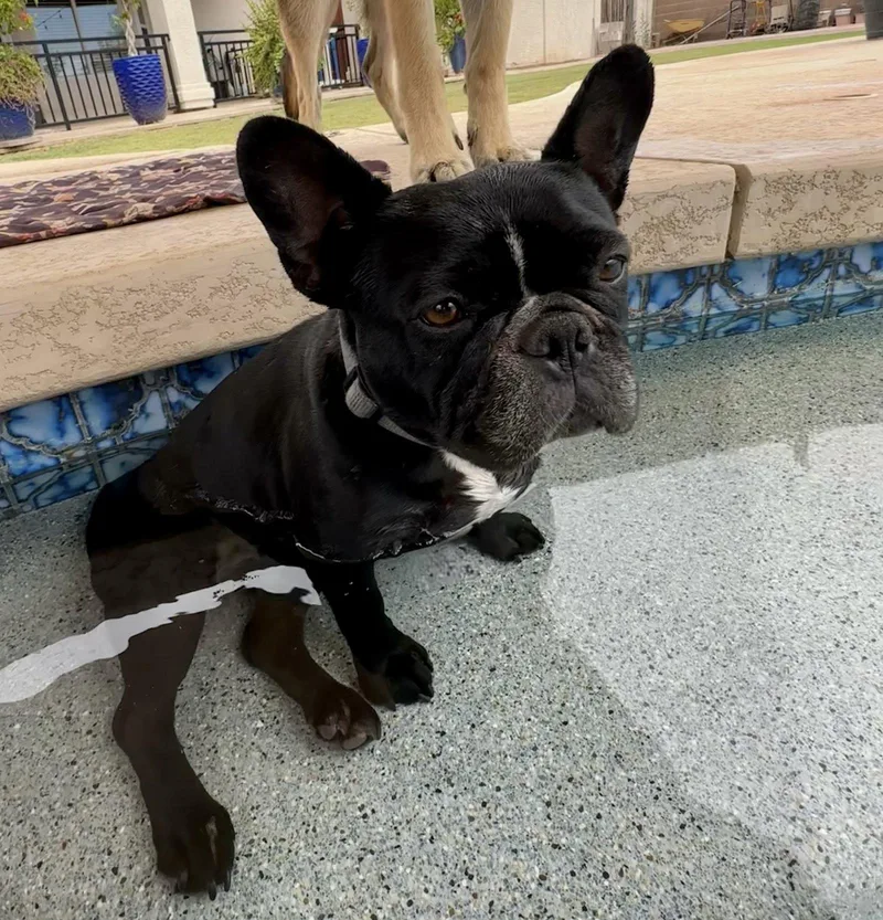 Lola thumbnail 3