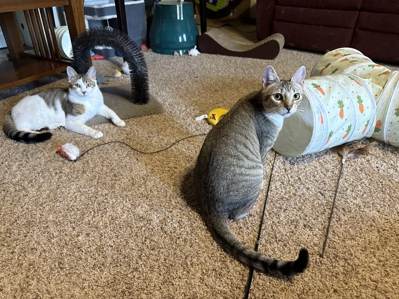 Sporty Spice thumbnail 4