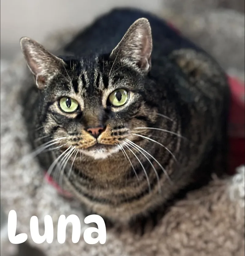 Luna