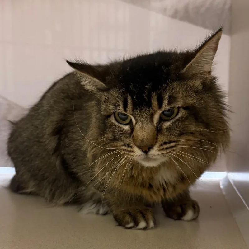 Tatooine thumbnail 2