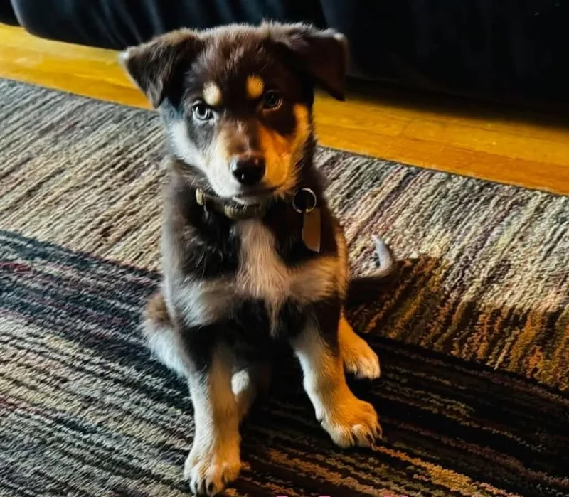 Molly
