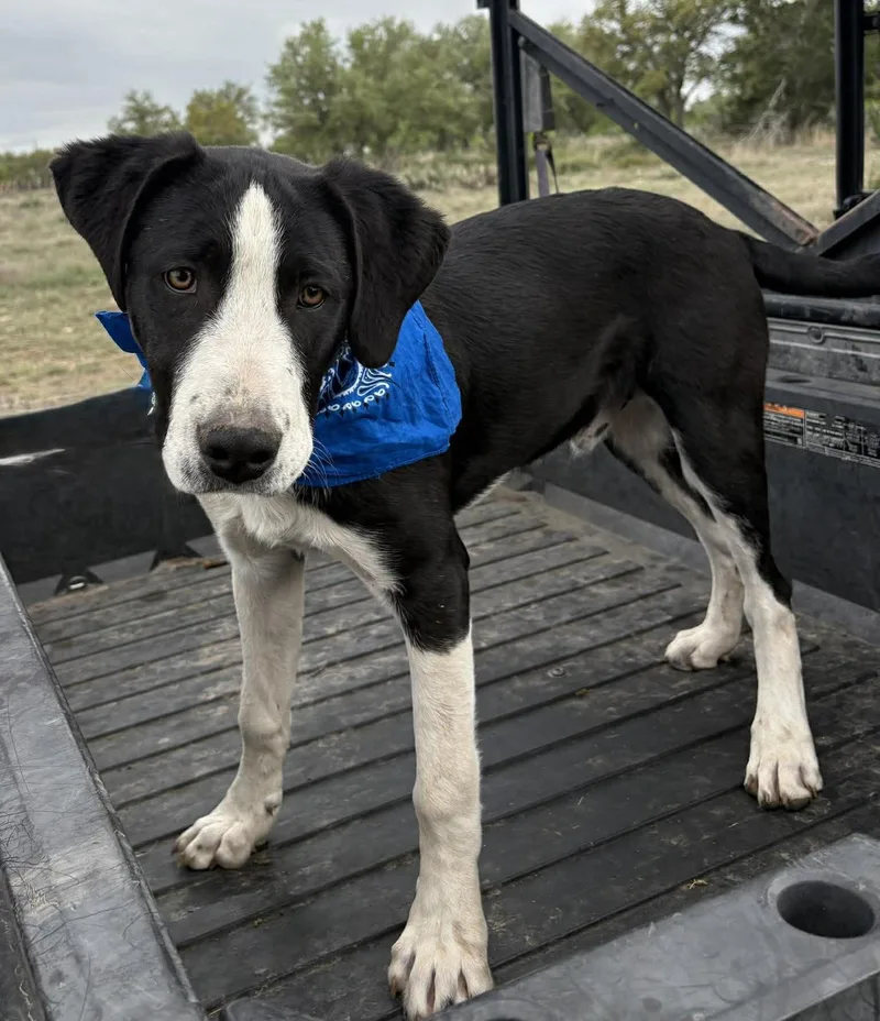 Slightly thumbnail 3