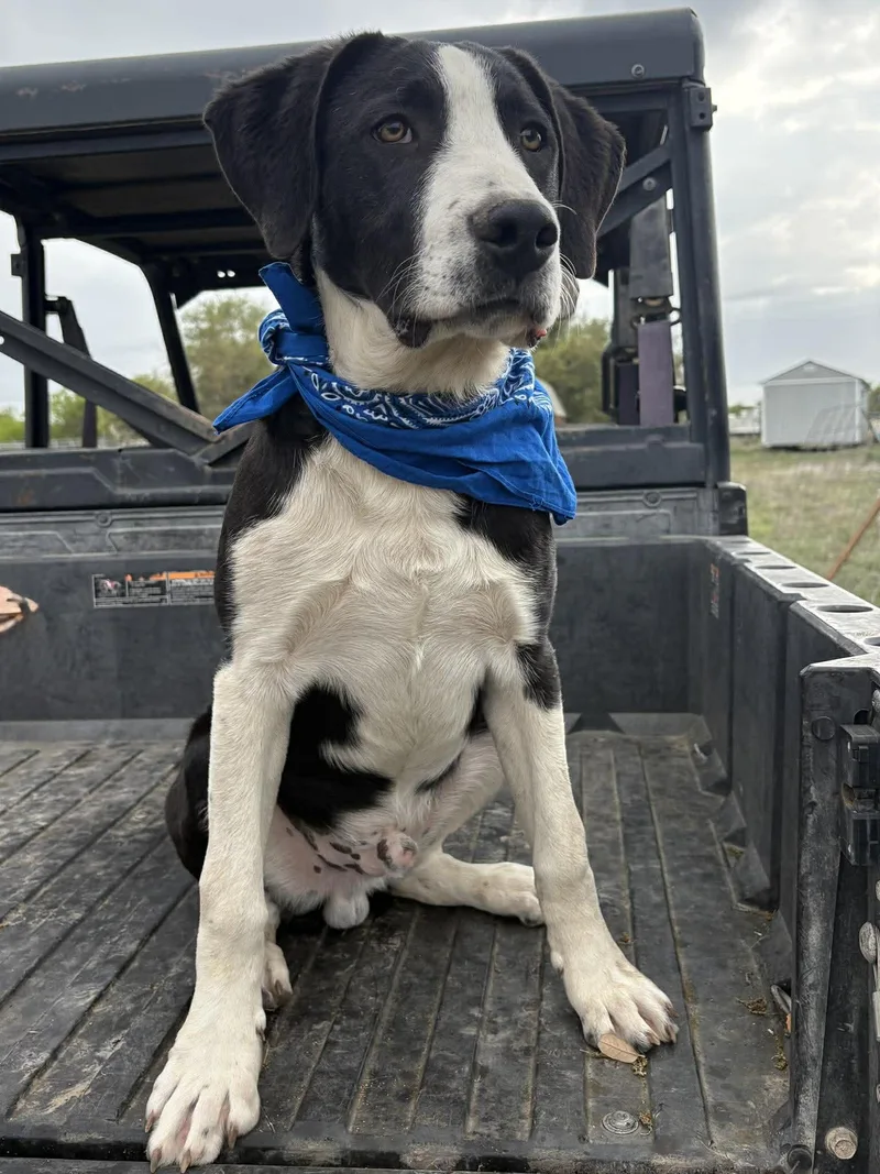 Slightly thumbnail 5