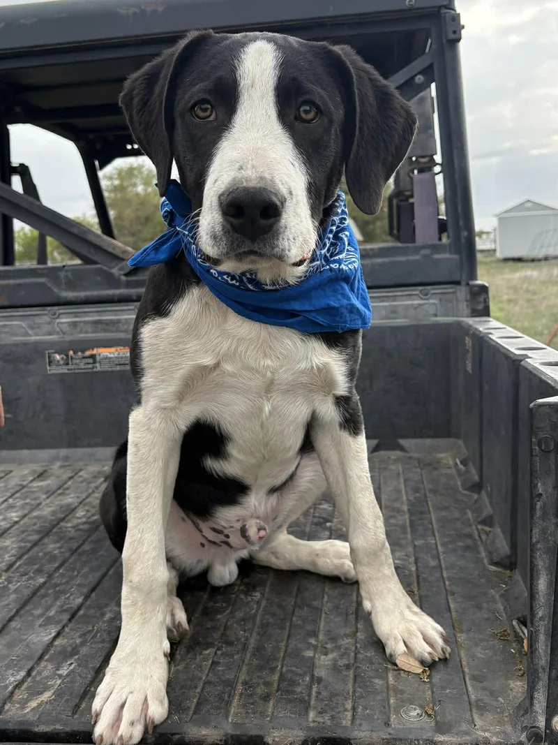 Slightly thumbnail 6