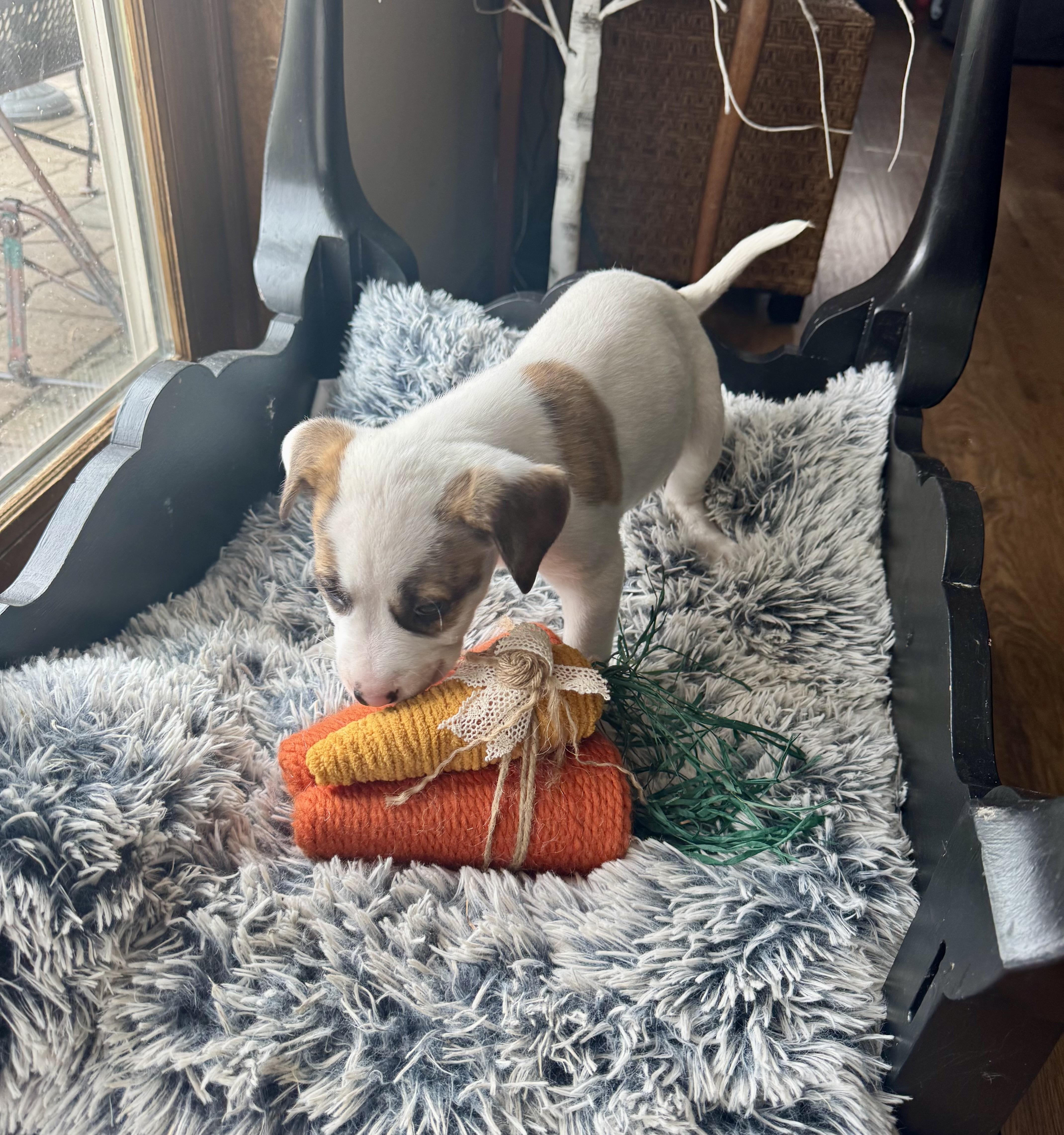 Mercedes thumbnail 2