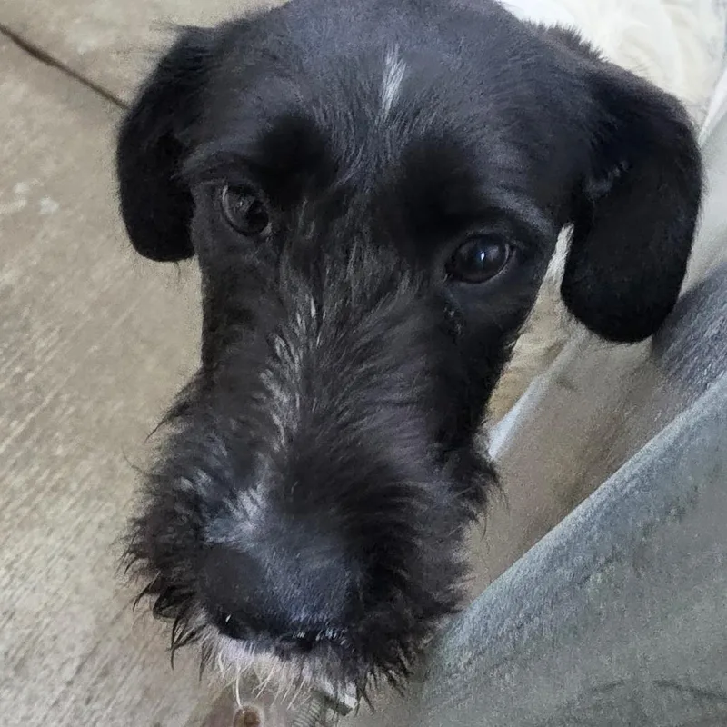 Freckles thumbnail 2