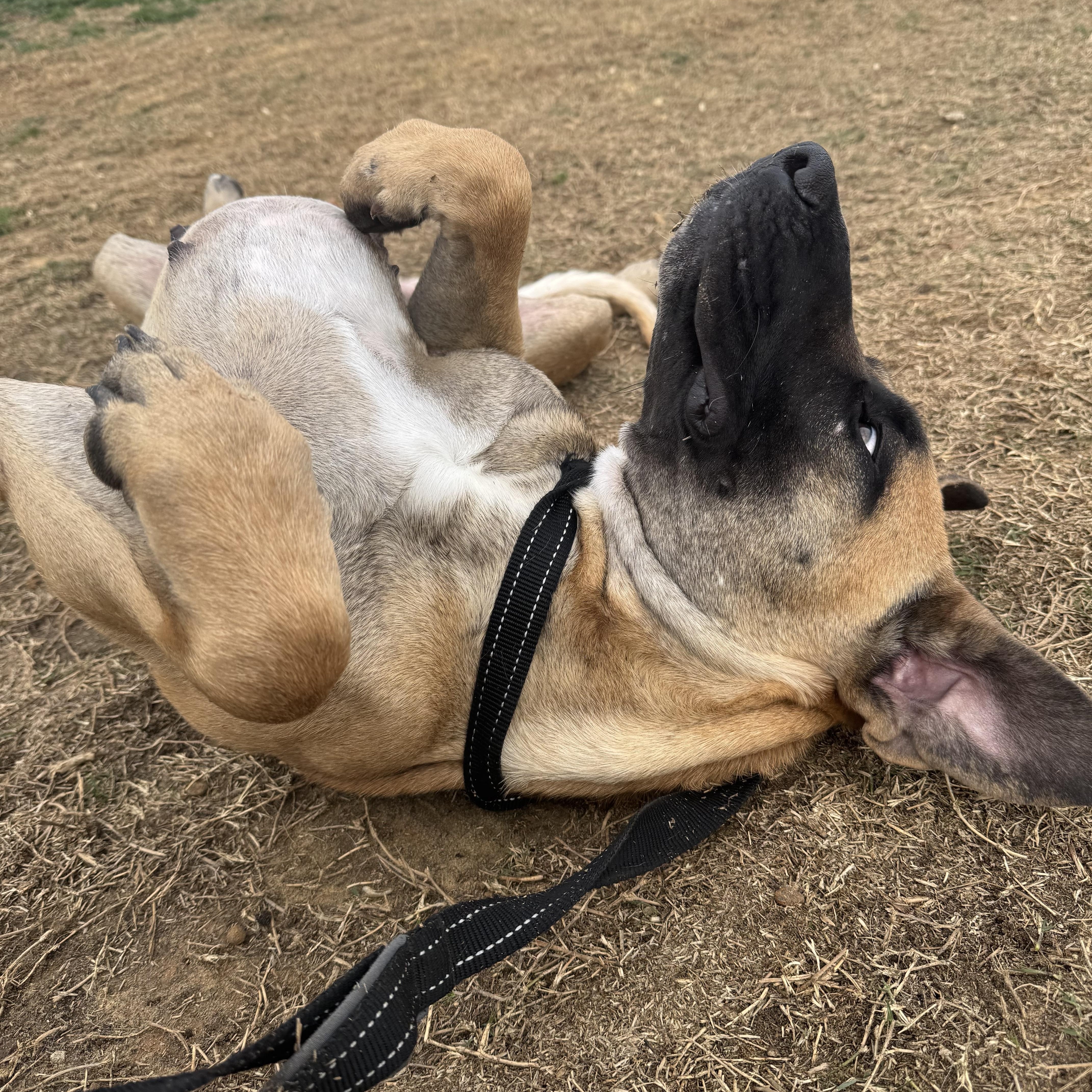 Katarina thumbnail 3