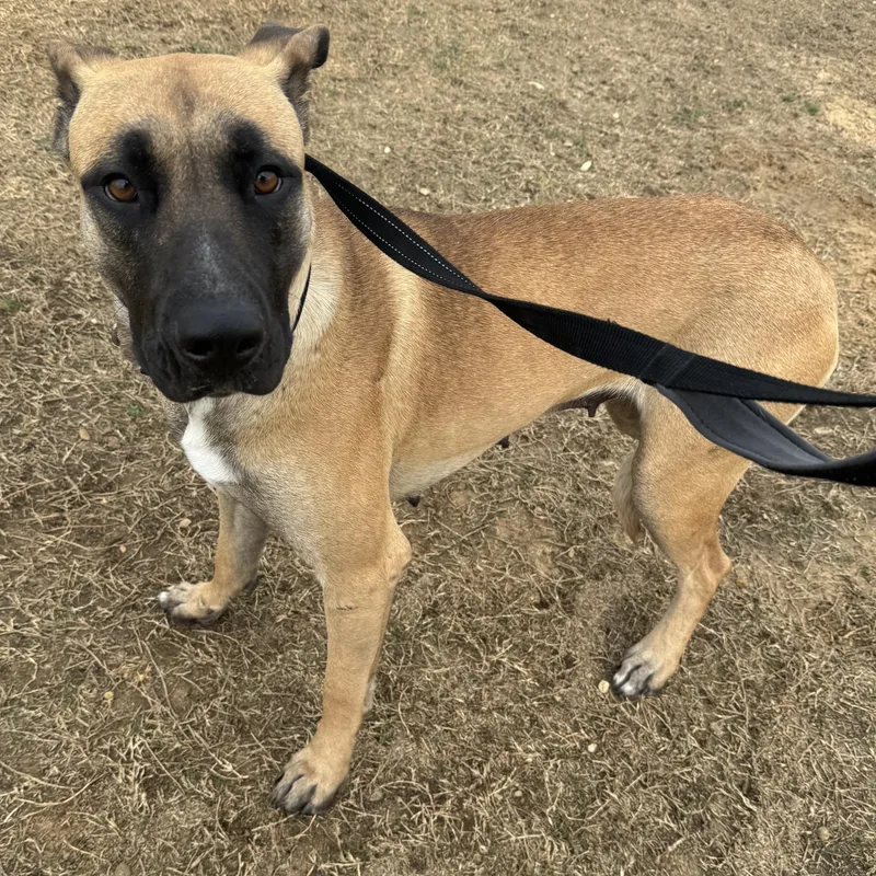 Katarina thumbnail 4