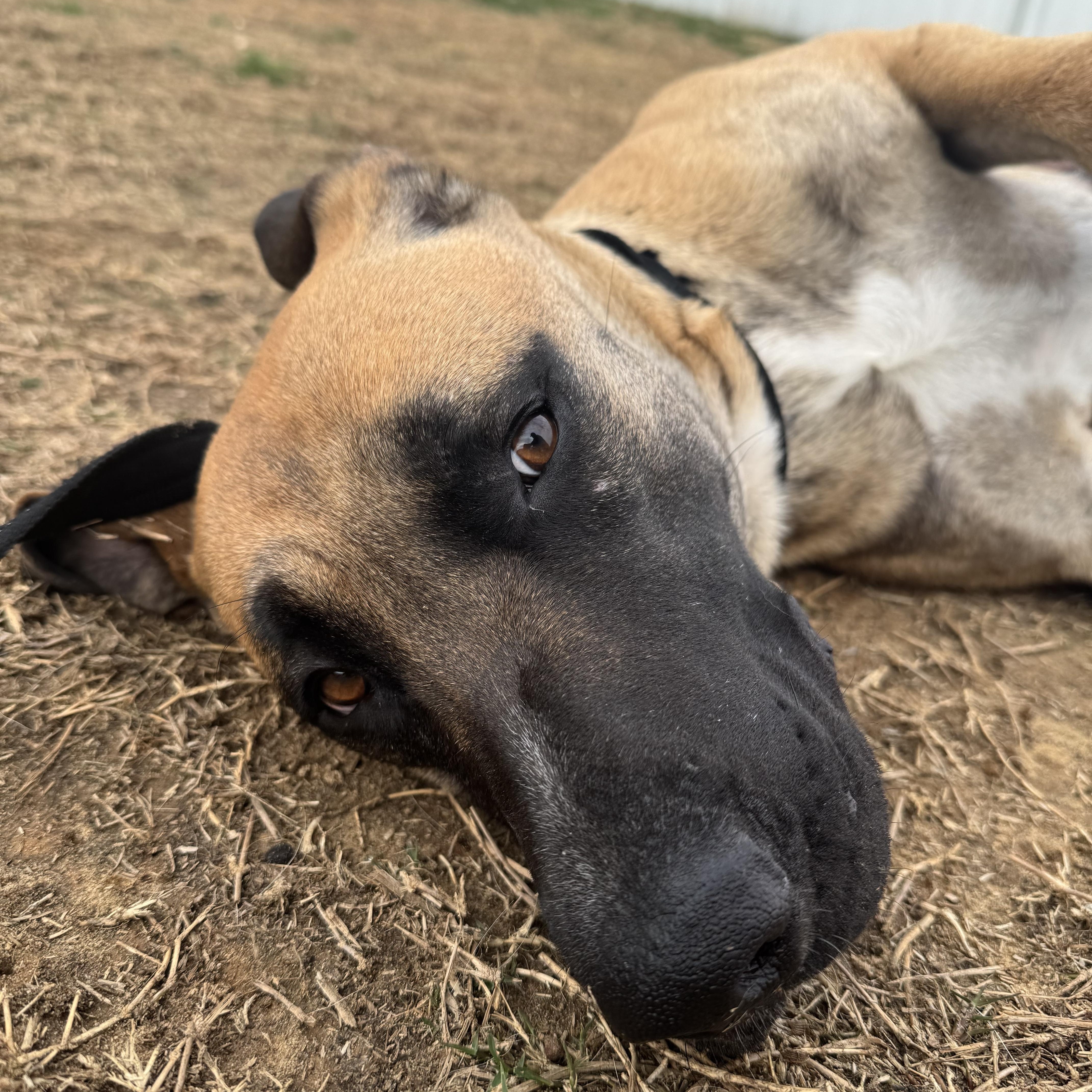 Katarina thumbnail 5