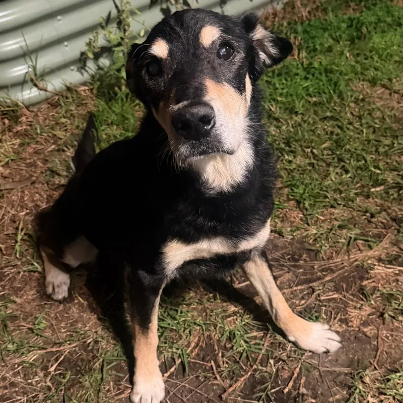 Ebenezer thumbnail 2