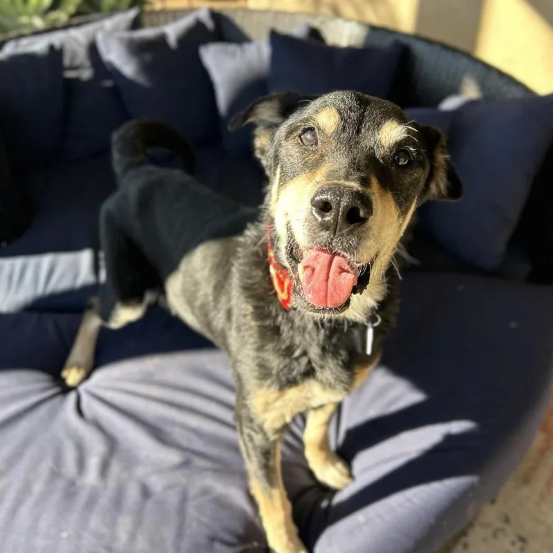 Ebenezer thumbnail 5