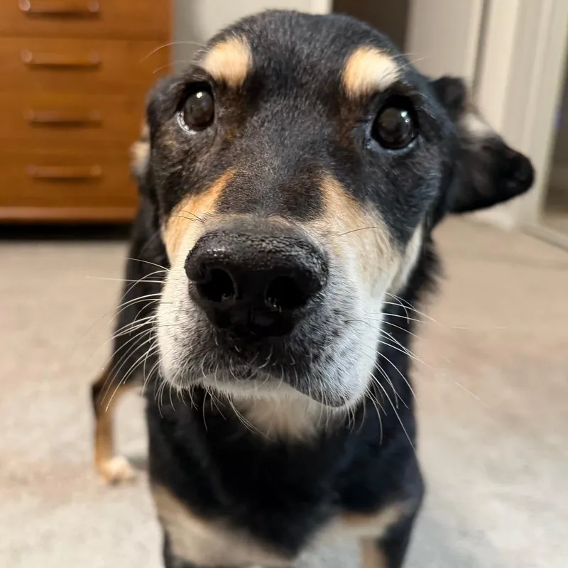 Ebenezer thumbnail 6