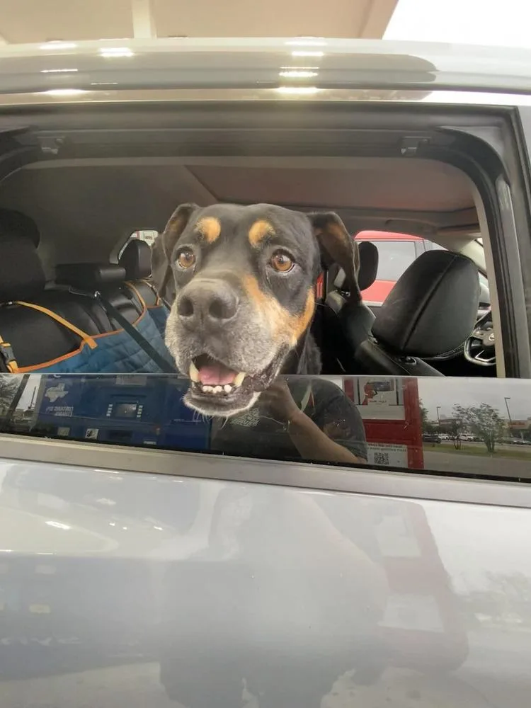 Richard Parker A 💜