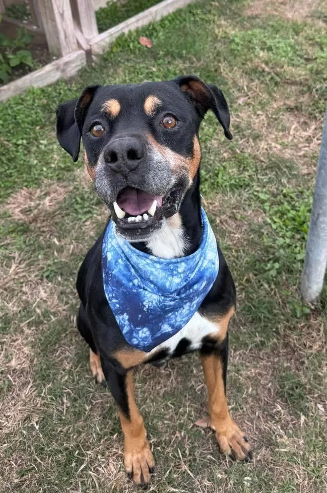 Richard Parker A 💜 thumbnail 2