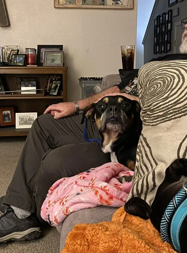 Richard Parker A 💜 thumbnail 3