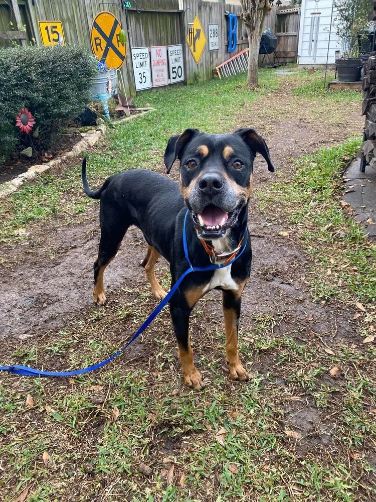 Richard Parker A 💜 thumbnail 6