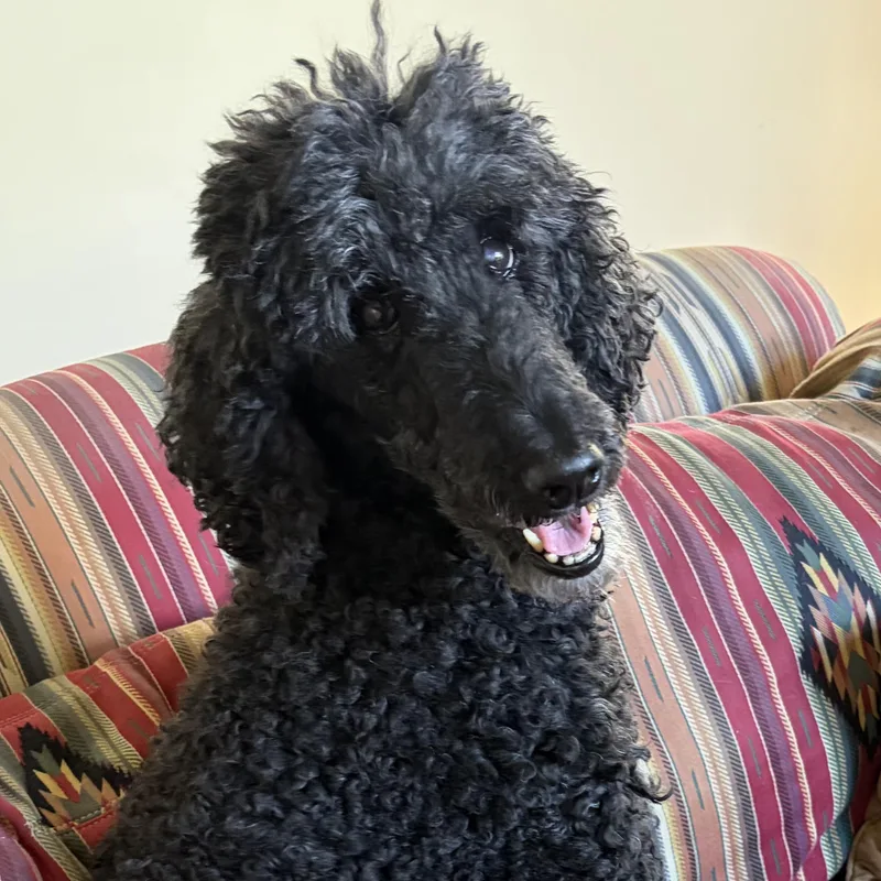 Maggie thumbnail 2