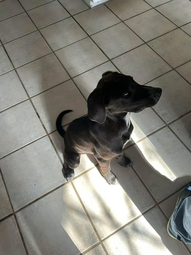 Shania Twain thumbnail 3