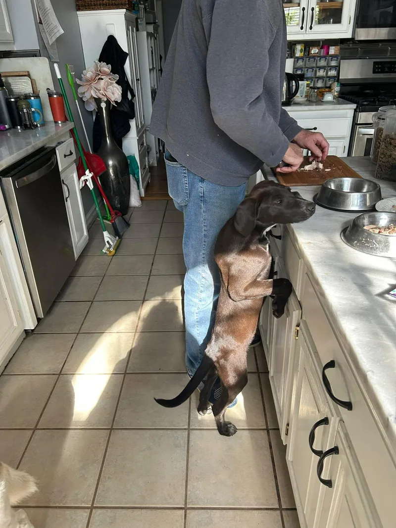 Shania Twain thumbnail 4