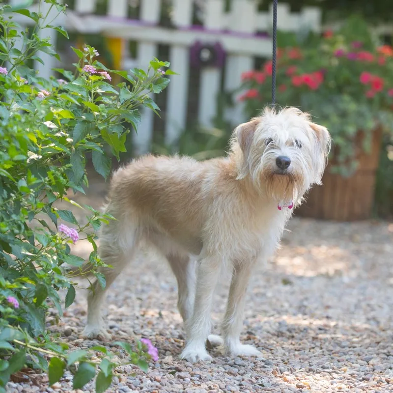 Gracie Mae thumbnail 2