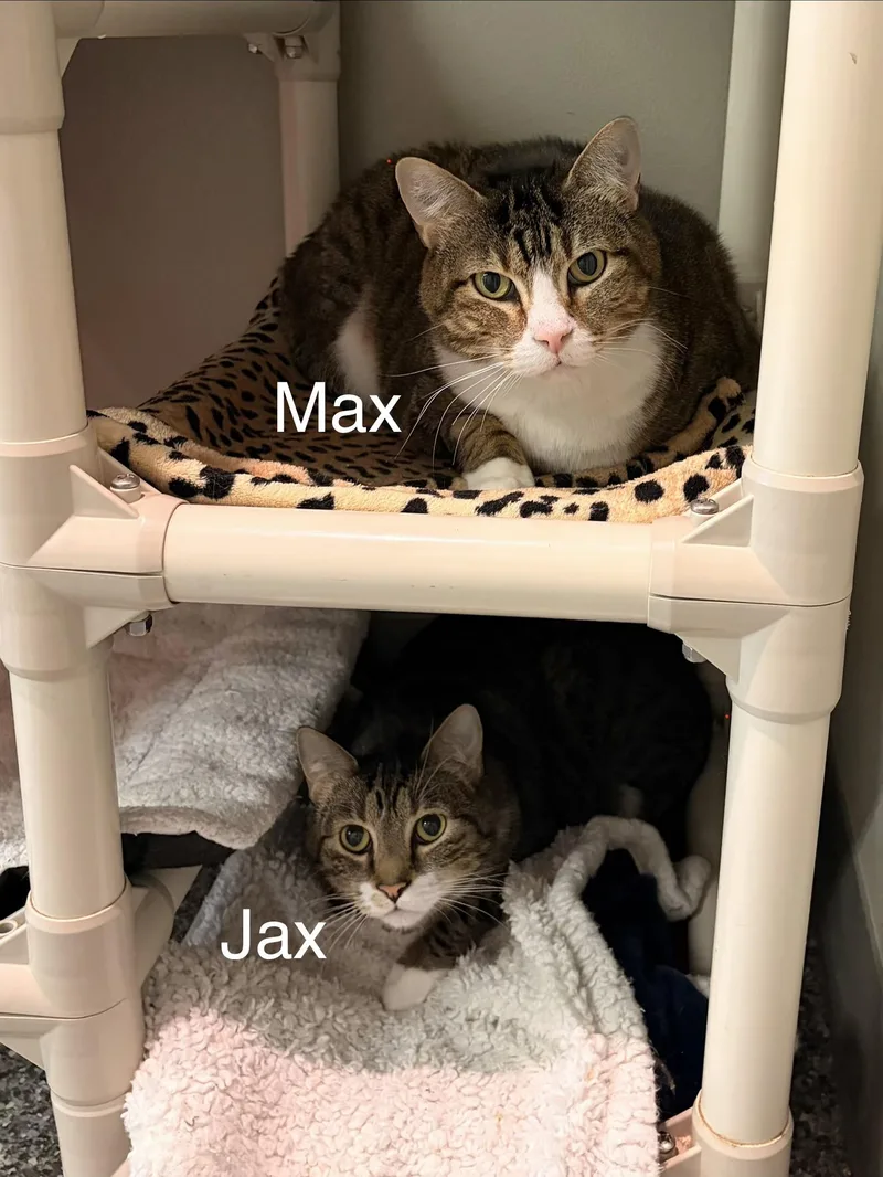 Jax & Max
