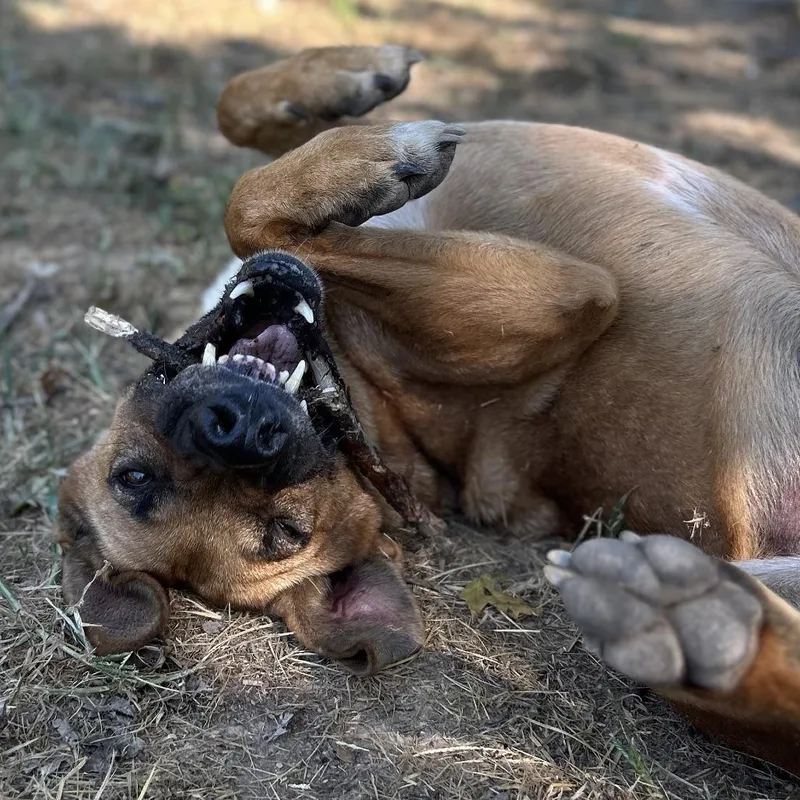 Busta Rhymes thumbnail 3