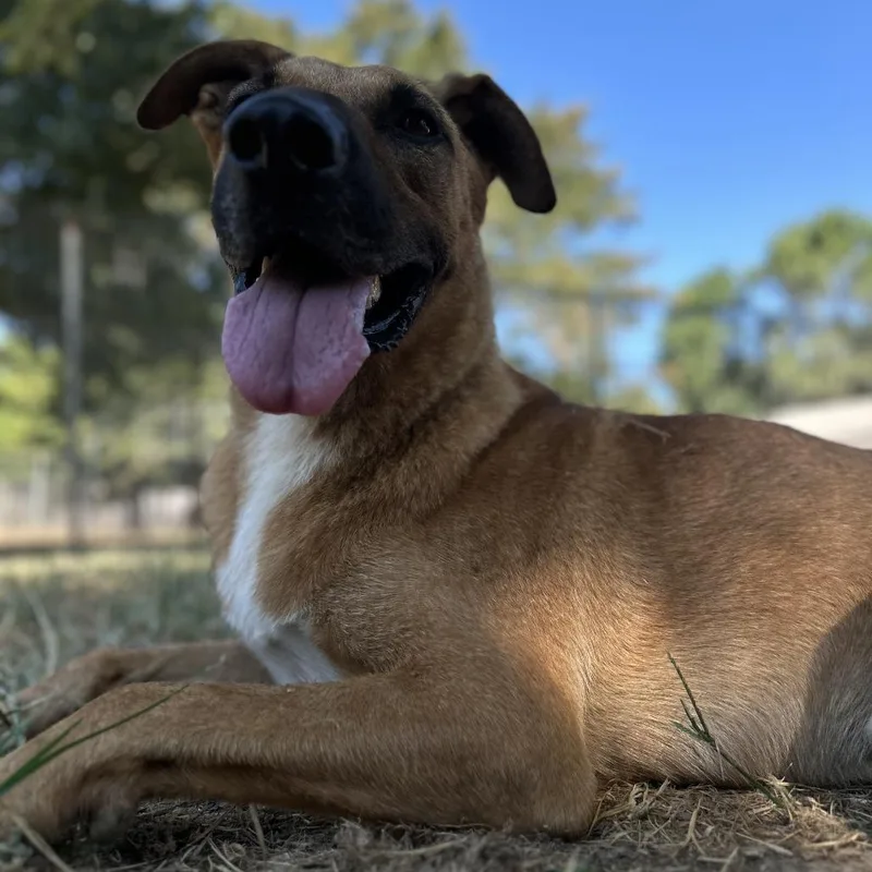 Busta Rhymes thumbnail 4