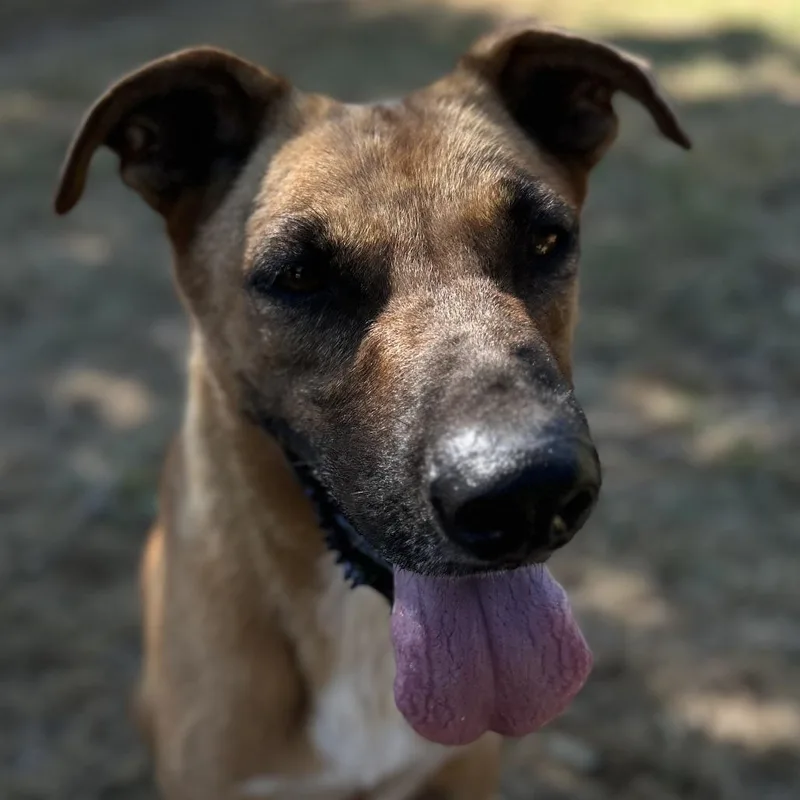 Busta Rhymes thumbnail 5