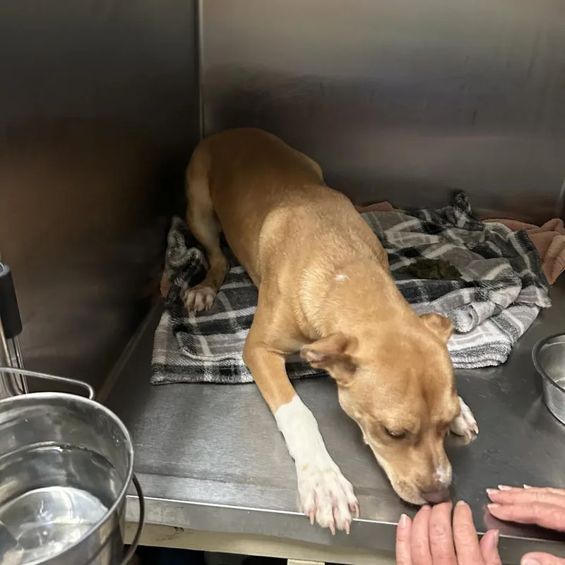 Troy Bolton thumbnail 2