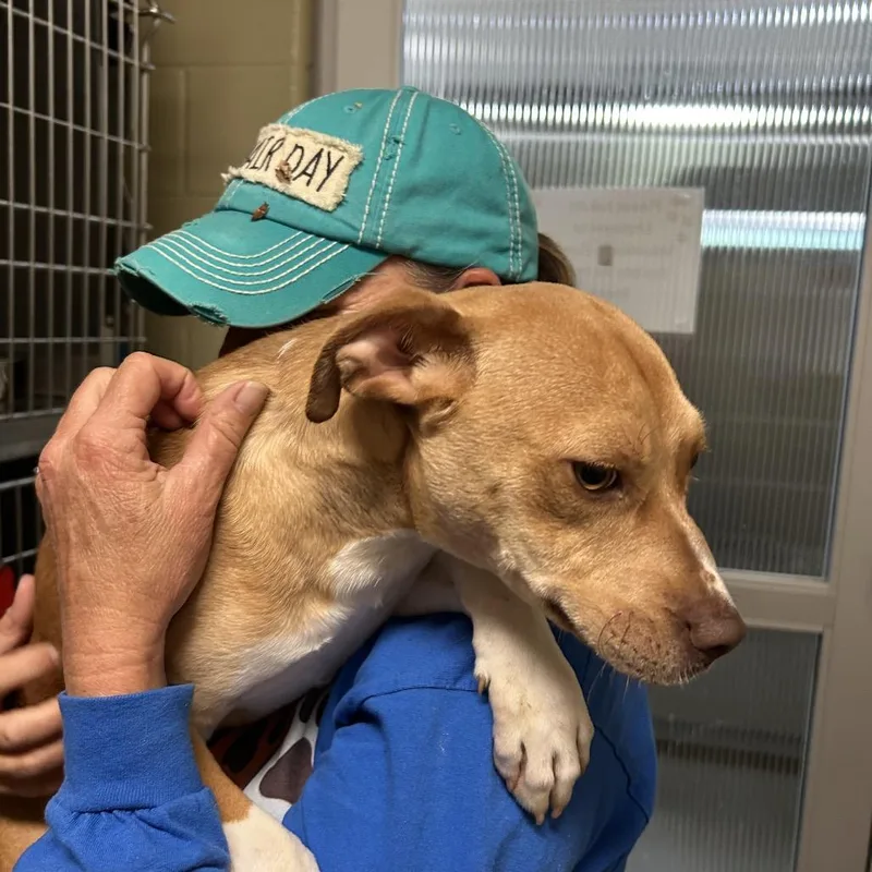 Troy Bolton thumbnail 4