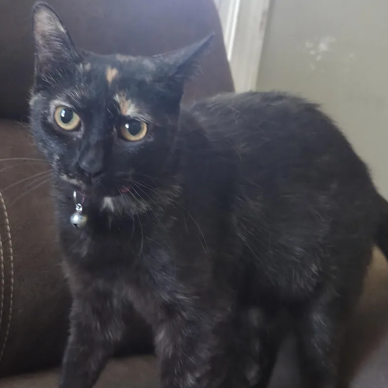 Missy thumbnail 3