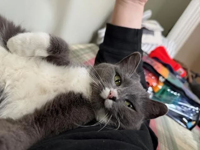 Miss Girl thumbnail 2