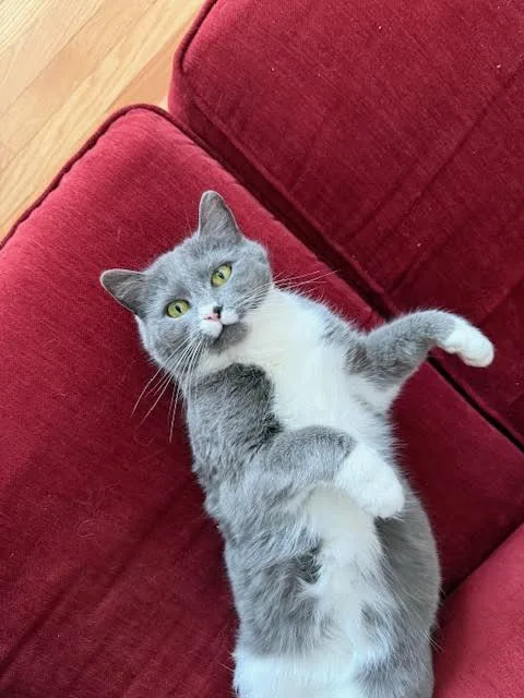 Miss Girl thumbnail 3