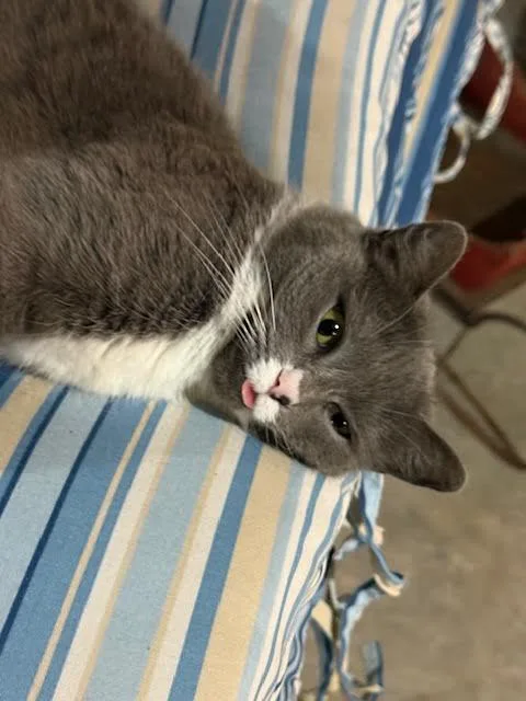 Miss Girl thumbnail 4