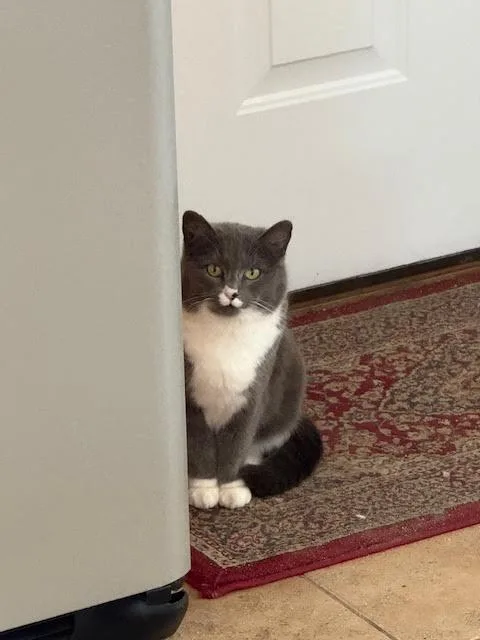 Miss Girl thumbnail 5