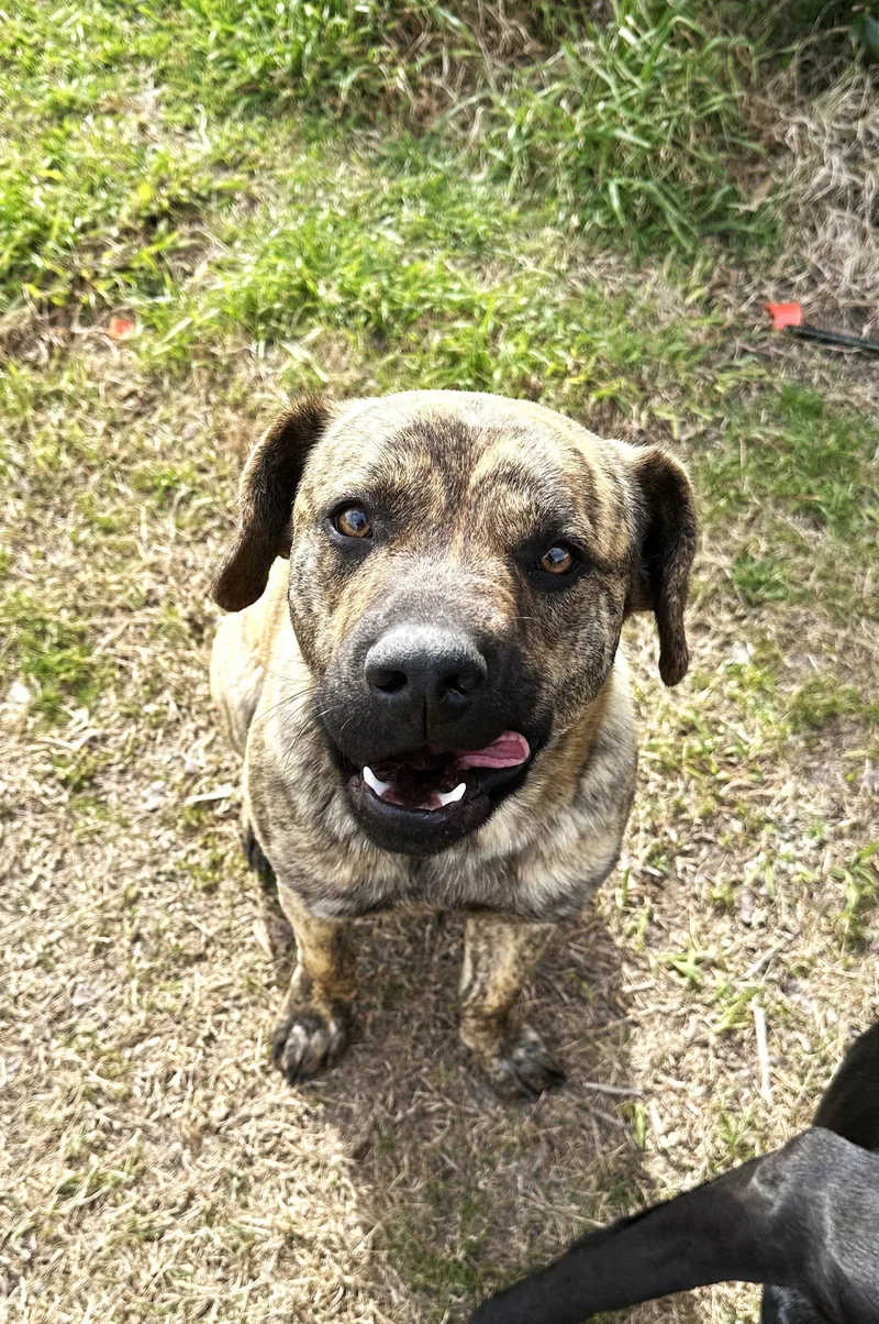 Butch Cassidy thumbnail 2