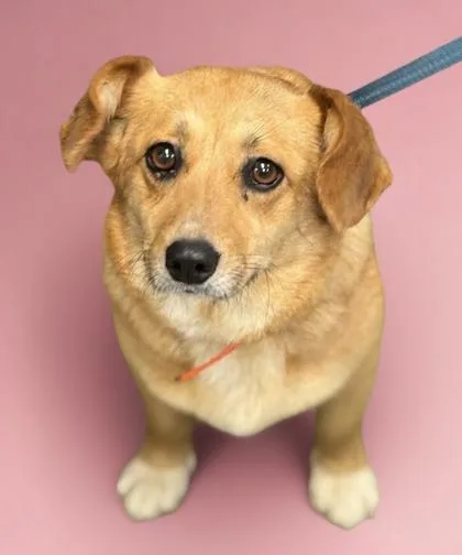 Flaca Hold Eod Parker thumbnail 2