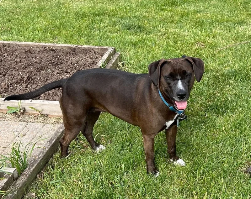 Genevieve thumbnail 6