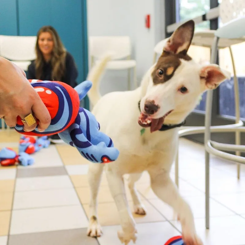 Claire thumbnail 2
