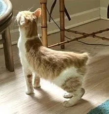 Luke  Nc thumbnail 2